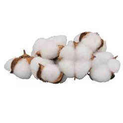 Promo 💯 Cotton Pod Filler by Ashland® 😍