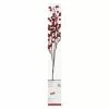 Best reviews of ✔️ Red Berries Twig With 16 Lights by Ashland® ✨ 1 Best reviews of ✔️ Red Berries Twig With 16 Lights by Ashland® ✨ -Michaels Store 10702492 1