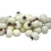 Wholesale ๐คฉ White Sugared Berries by Ashland® ๐งจ 2 Wholesale ๐คฉ White Sugared Berries by Ashland® ๐งจ -Michaels Store 10702541 1