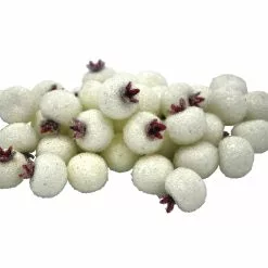 Wholesale 🤩 White Sugared Berries by Ashland® 🧨