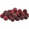 Best deal 😀 Red Sugared Berries by Ashland® ❤️ -Michaels Store 10702542 1