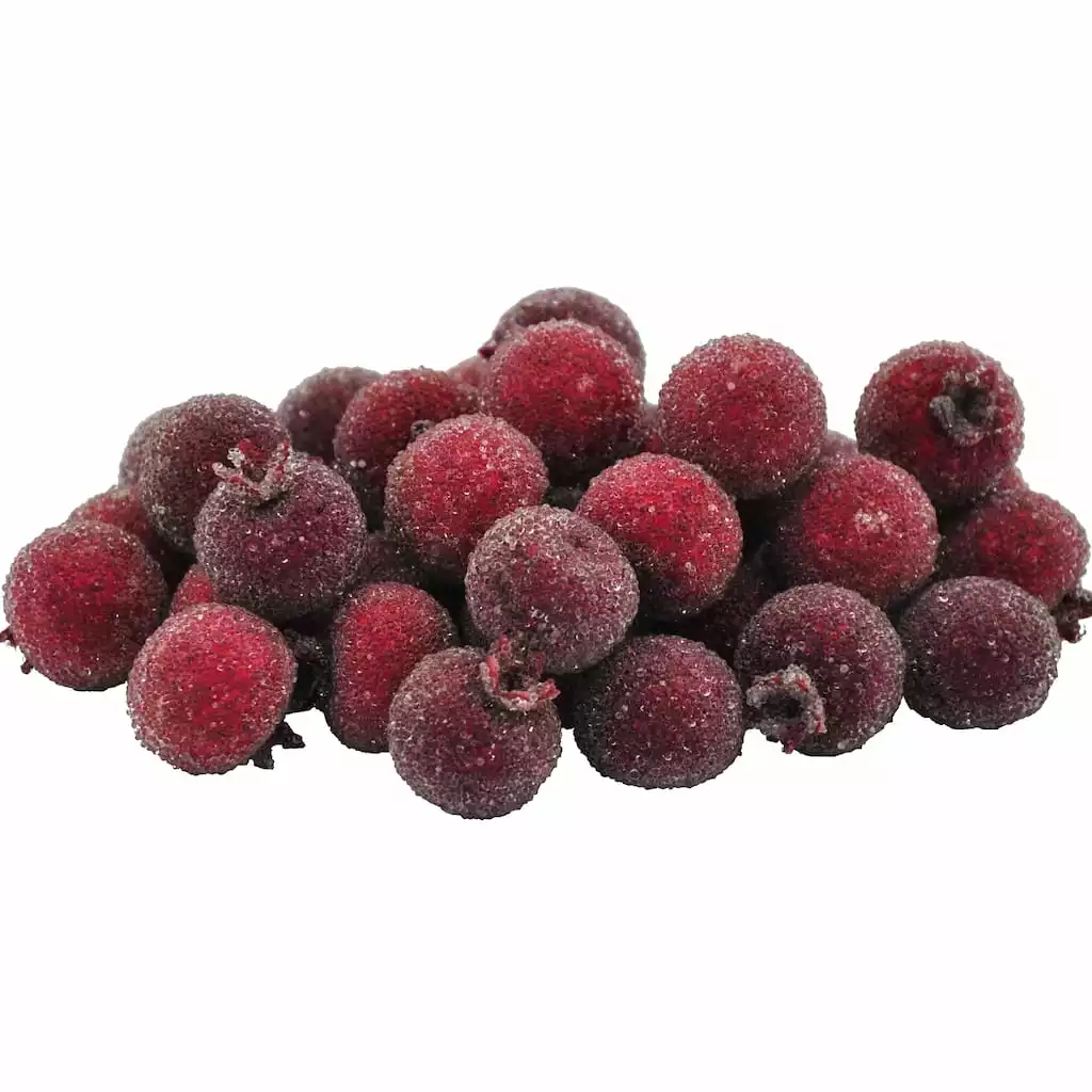 Best deal 😀 Red Sugared Berries by Ashland® ❤️ 3 Best deal 😀 Red Sugared Berries by Ashland® ❤️