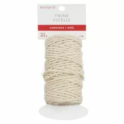 Outlet 😍 75ft. Metallic Cream Twine by Ashland® 👏