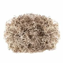 Cheap ⌛ Natural Spanish Moss by Ashland® 🧨