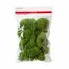 Buy ✔️ Green Reindeer Moss by Ashland® 🌟