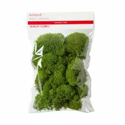 Buy ✔️ Green Reindeer Moss by Ashland® 🌟