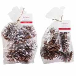 Brand new 👍 Assorted Pinecone Mix by Ashland® ⌛
