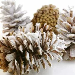 Brand new 👍 Assorted Pinecone Mix by Ashland® ⌛ -Michaels Store 10703682 3
