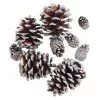 Promo ✔️ Brown & Silver Glitter Pinecones by Ashland® 🎁 -Michaels Store 10703687 2