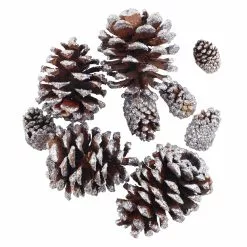 Promo ✔️ Brown & Silver Glitter Pinecones by Ashland® 🎁