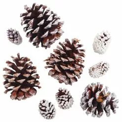 Best Sale ✔️ Snow Dusted Pinecones by Ashland® 🧨