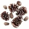 Best Sale 👏 Brown & Gold Glitter Pinecones by Ashland® 😍 -Michaels Store 10703689 2