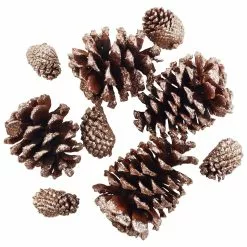 Best Sale 👏 Brown & Gold Glitter Pinecones by Ashland® 😍