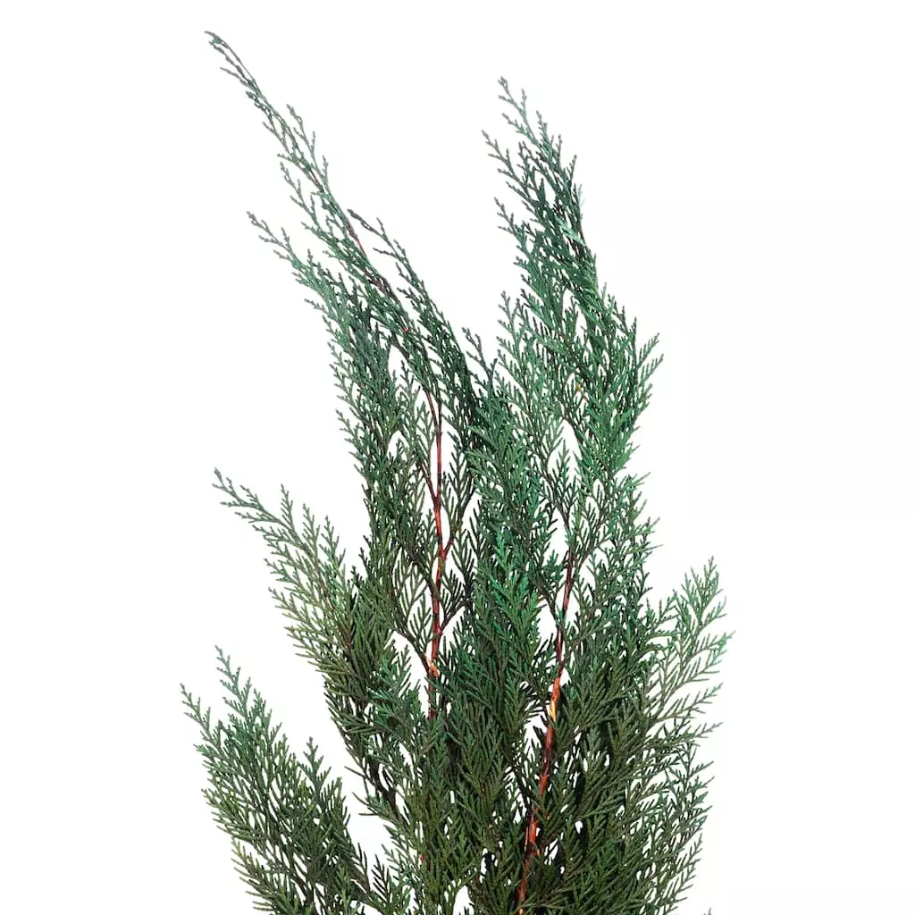 Deals ✔️ Assorted Dried Cedar Bouquet by Ashland® ⌛ 4 Deals ✔️ Assorted Dried Cedar Bouquet by Ashland® ⌛ - Image 2