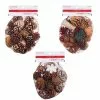 Hot Sale 😍 Assorted Cinnamon Scented Pinecones by Ashland® 🎉 -Michaels Store 10703830 1