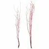 Best Sale 💯 Assorted Red Birch Branch by Ashland® ⭐ 2 Best Sale 💯 Assorted Red Birch Branch by Ashland® ⭐ -Michaels Store 10703836 1