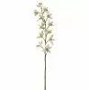 Deals ๐ 8 Pack: Cream Boat Orchid Stem by Ashland® โค๏ธ 2 Deals ๐ 8 Pack: Cream Boat Orchid Stem by Ashland® โค๏ธ -Michaels Store 230929