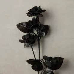 New ✨ 12 Pack: Black Diamond Rose Spray by Ashland® 🤩 -Michaels Store MP012412 25