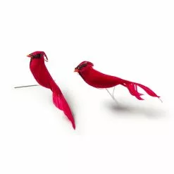 New ⭐ 24 Packs: 2 ct. (48 total) Cardinal Birds by Ashland® ⭐ -Michaels Store MP029954 21