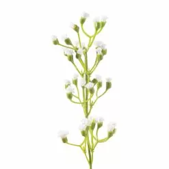 Outlet ✔️ 12 Pack: Ivory Mini Baby's Breath Spray by Ashland® 🥰 -Michaels Store MP035159 20