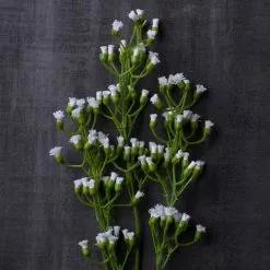 Outlet ✔️ 12 Pack: Ivory Mini Baby's Breath Spray by Ashland® 🥰 -Michaels Store MP035159 22