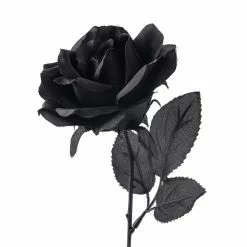 Flash Sale ❤️ 12 Pack: Black Open Rose Stem by Ashland™ 😀 -Michaels Store MP035292 20