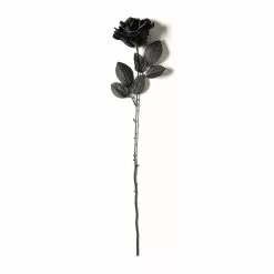 Flash Sale ❤️ 12 Pack: Black Open Rose Stem by Ashland™ 😀 -Michaels Store MP035292 21
