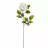 Brand new ⌛ 24 Pack: White Holland Rose Stem by Ashland® ✔️ -Michaels Store MP056110 1