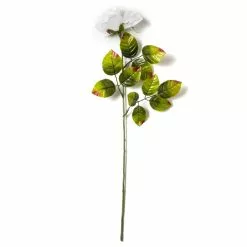 Brand new ⌛ 24 Pack: White Holland Rose Stem by Ashland® ✔️ -Michaels Store MP056110 21