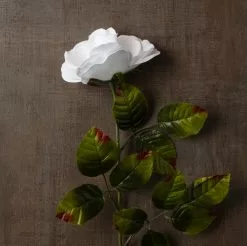 Brand new ⌛ 24 Pack: White Holland Rose Stem by Ashland® ✔️ -Michaels Store MP056110 25