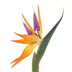 Coupon 🥰 12 Pack: Yellow Bird of Paradise Stem by Ashland® 🛒 -Michaels Store MP066898 20