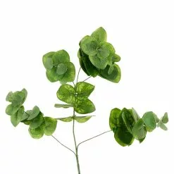 Wholesale 🥰 12 Pack: Green Eucalyptus Branch by Ashland® 👏