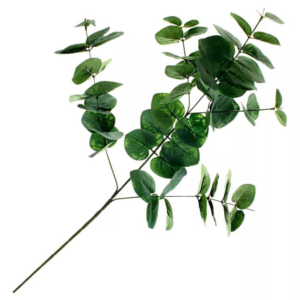 Flash Sale 🤩 12 Pack: Green Eucalyptus Spray by Ashland® 👍 3 Flash Sale 🤩 12 Pack: Green Eucalyptus Spray by Ashland® 👍