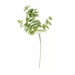 Cheap ⌛ 12 Pack: Green Eucalyptus Branch by Ashland® 😀 7 Cheap ⌛ 12 Pack: Green Eucalyptus Branch by Ashland® 😀 -Michaels Store MP067587 30