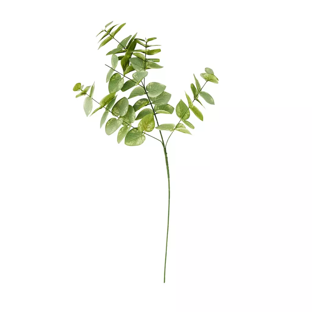 Cheap ⌛ 12 Pack: Green Eucalyptus Branch by Ashland® 😀 5 Cheap ⌛ 12 Pack: Green Eucalyptus Branch by Ashland® 😀 - Image 3