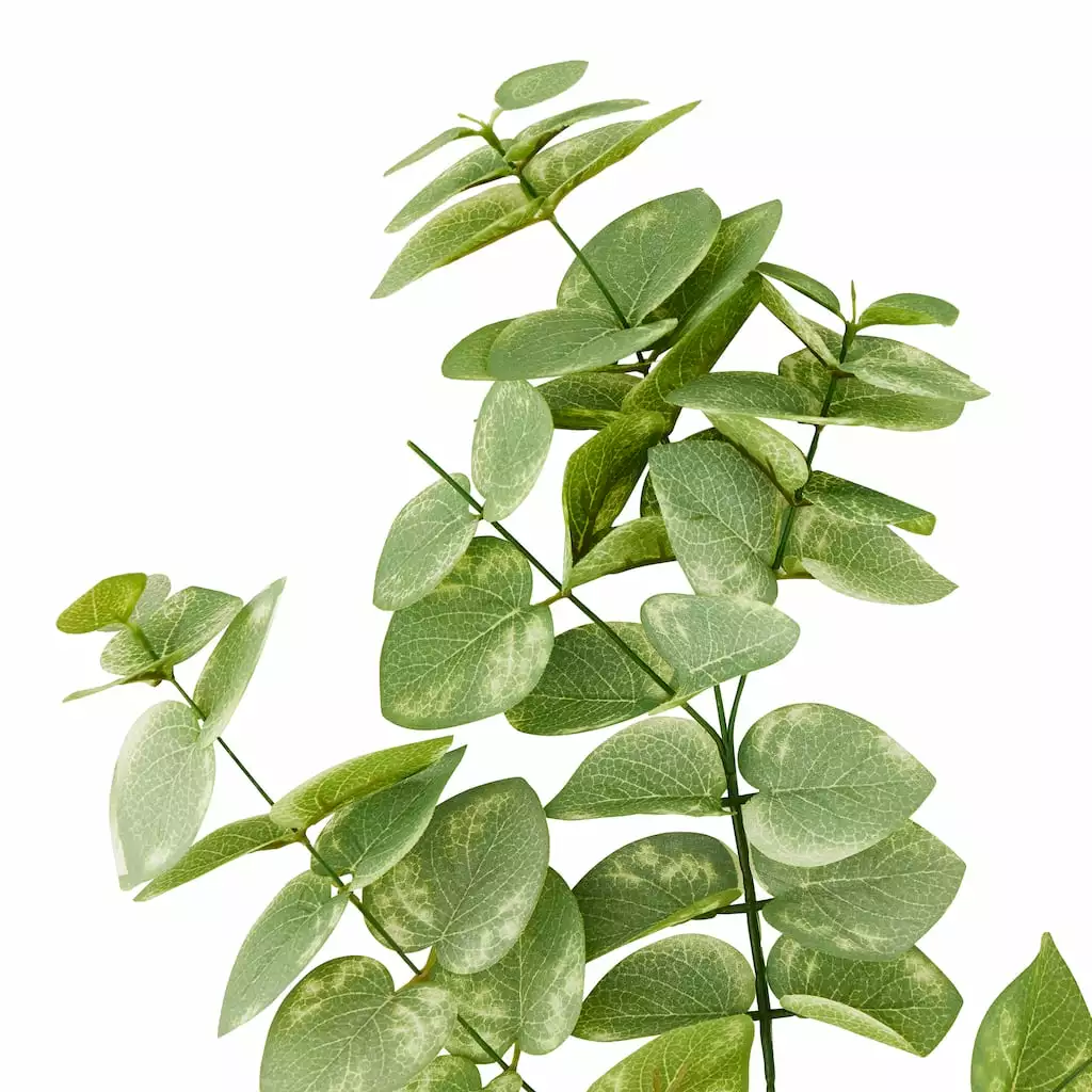 Cheap ⌛ 12 Pack: Green Eucalyptus Branch by Ashland® 😀 3 Cheap ⌛ 12 Pack: Green Eucalyptus Branch by Ashland® 😀