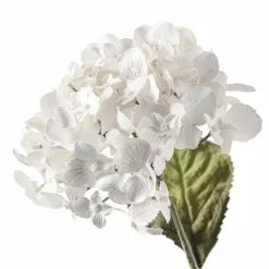 Wholesale ✔️ 12 Pack: Pearl Hydrangea Stem by Ashland® ⭐ 9 Wholesale ✔️ 12 Pack: Pearl Hydrangea Stem by Ashland® ⭐ -Michaels Store MP110873 20