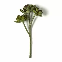 Budget ⭐ 12 Pack: Assorted Succulent Pick by Ashland® 🎉 8 Budget ⭐ 12 Pack: Assorted Succulent Pick by Ashland® 🎉 -Michaels Store MP128870 21