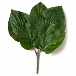 Top 10 ⭐ 12 Pack: Green Hosta Bush by Ashland® 👏 -Michaels Store MP131106 21