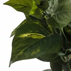 Hot Sale 🎉 12 Pack: Pothos Bush by Ashland® Real Touch™ 🌟 9 Hot Sale 🎉 12 Pack: Pothos Bush by Ashland® Real Touch™ 🌟 -Michaels Store MP131108 20