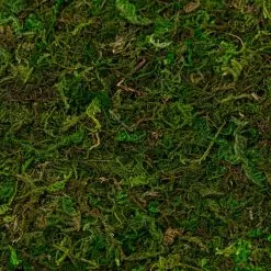 Wholesale ✔️ 12 Pack: Moss Mat by Ashland® ⌛ -Michaels Store MP135027 22