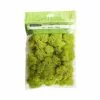 Flash Sale 👏 12 Pack: Reindeer Moss by Ashland® ✨ 1 Flash Sale 👏 12 Pack: Reindeer Moss by Ashland® ✨ -Michaels Store MP135038 1