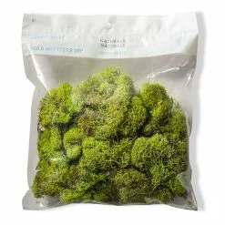 Flash Sale 👏 12 Pack: Reindeer Moss by Ashland® ✨ 9 Flash Sale 👏 12 Pack: Reindeer Moss by Ashland® ✨ -Michaels Store MP135038 20