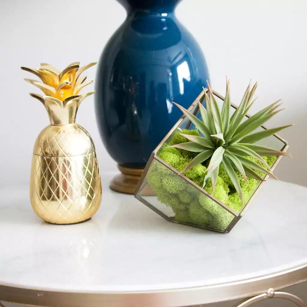 Flash Sale 👏 12 Pack: Reindeer Moss by Ashland® ✨ 4 Flash Sale 👏 12 Pack: Reindeer Moss by Ashland® ✨ - Image 2