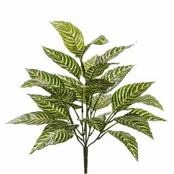 Best Pirce ⌛ 8 Pack: Green Zebra Bush by Ashland® ✔️