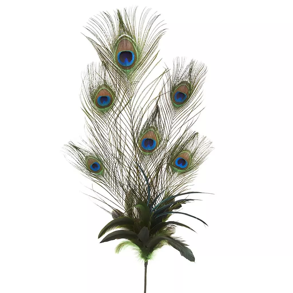 Best deal 😉 12 Pack: Peacock Feather Pick by Ashland® 🥰 3 Best deal 😉 12 Pack: Peacock Feather Pick by Ashland® 🥰