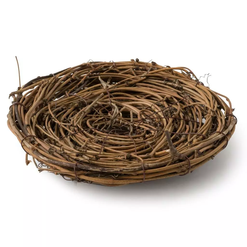 Wholesale ❤️ 12 Pack: Bird Nest by Ashland® 💯 4 Wholesale ❤️ 12 Pack: Bird Nest by Ashland® 💯 - Image 2