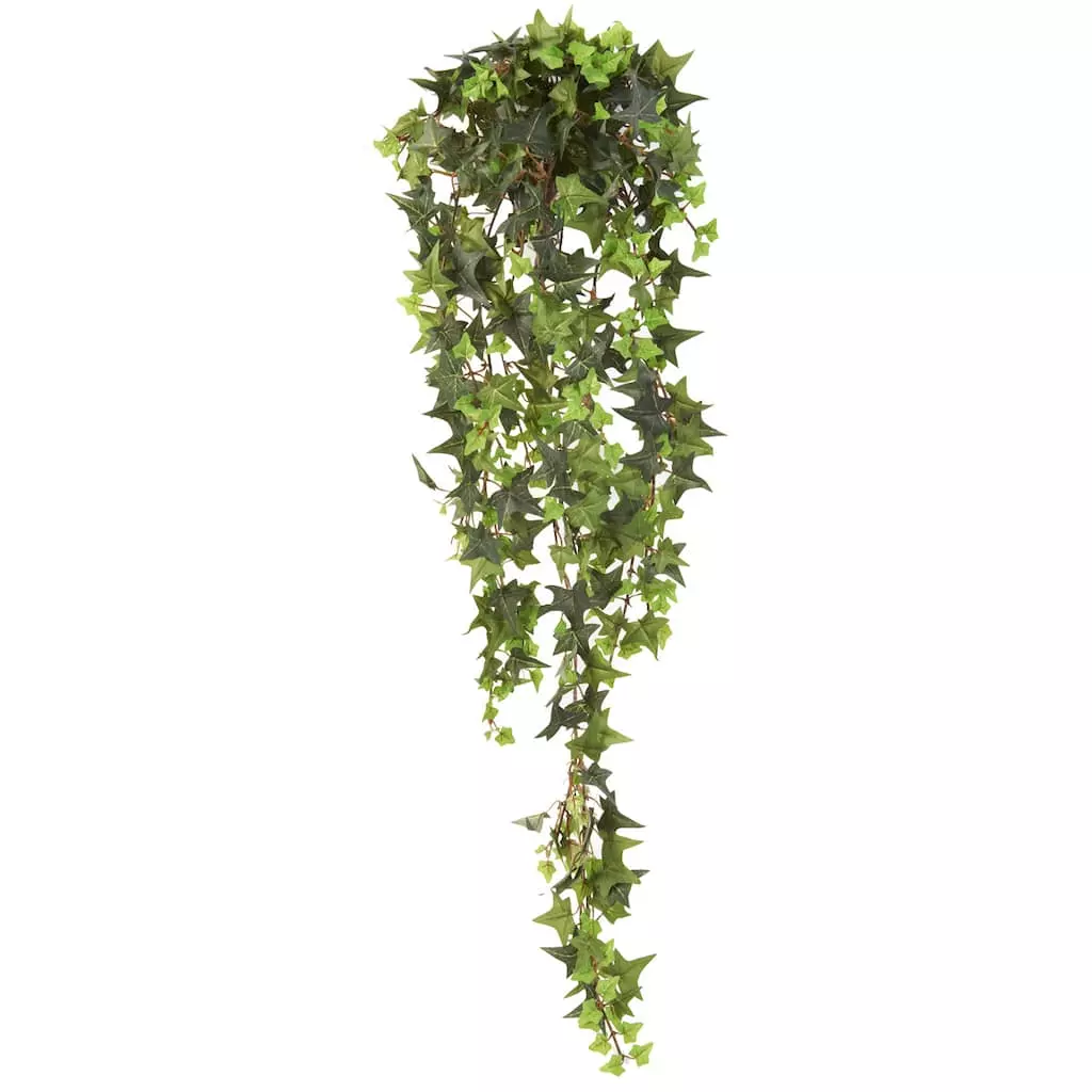 Hot Sale ⌛ 12 Pack: Star Ivy Bush by Ashland® 🛒 3 Hot Sale ⌛ 12 Pack: Star Ivy Bush by Ashland® 🛒