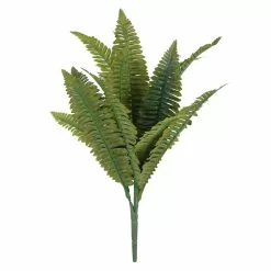 Best Sale 😍 12 Pack: Green Boston Fern Bush by Ashland® 🌟