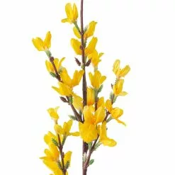 Top 10 🛒 12 Pack: Yellow Forsythia Branch Spray by Ashland® ⭐ -Michaels Store MP205308 20